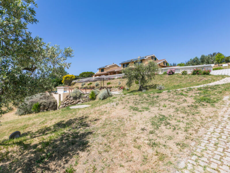 Poggio agli Olivi