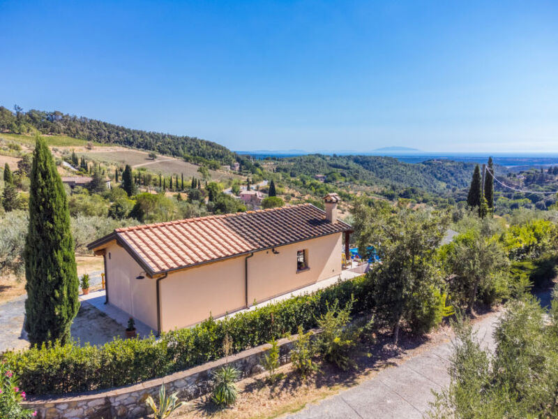Oliveta