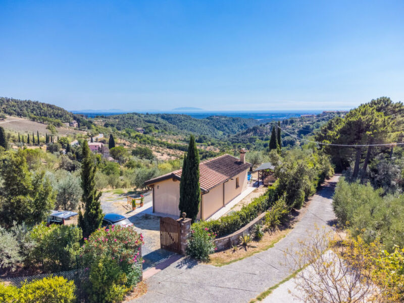 Oliveta