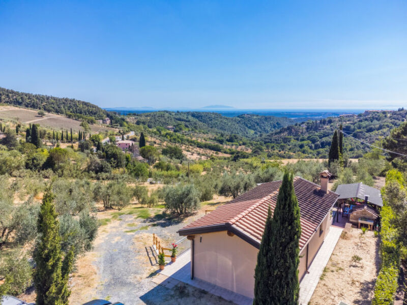 Oliveta