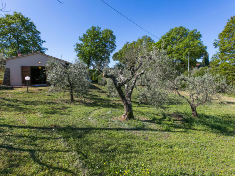 Casa Viso Bellino