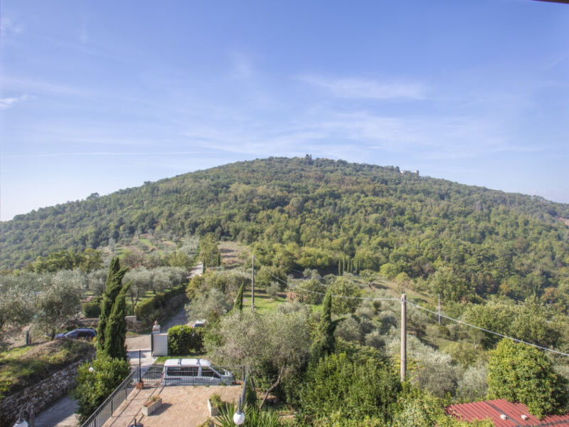 L'Amorosa