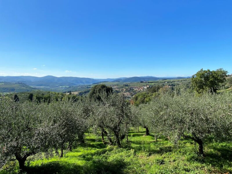 Villa Grassina