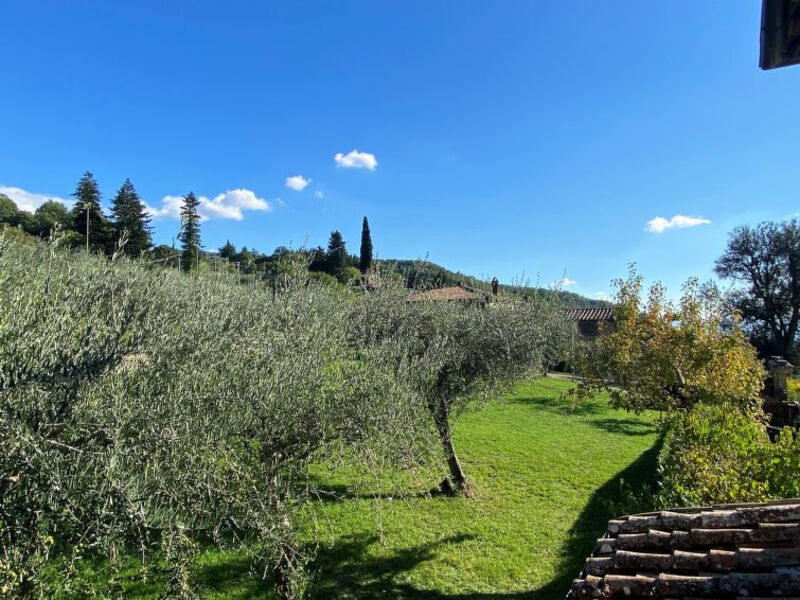 Villa Grassina