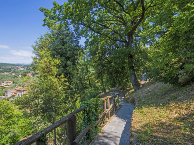 Poggio Alla Baghera
