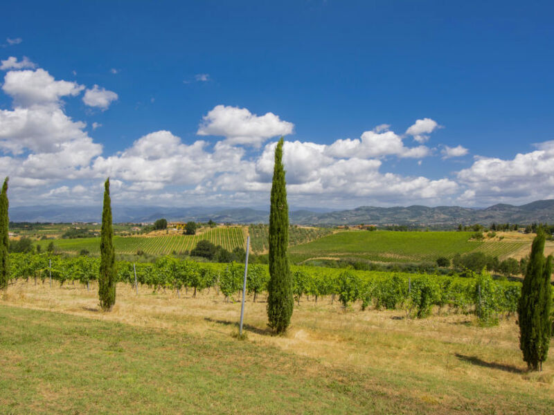 Agriturismo Di Vinci