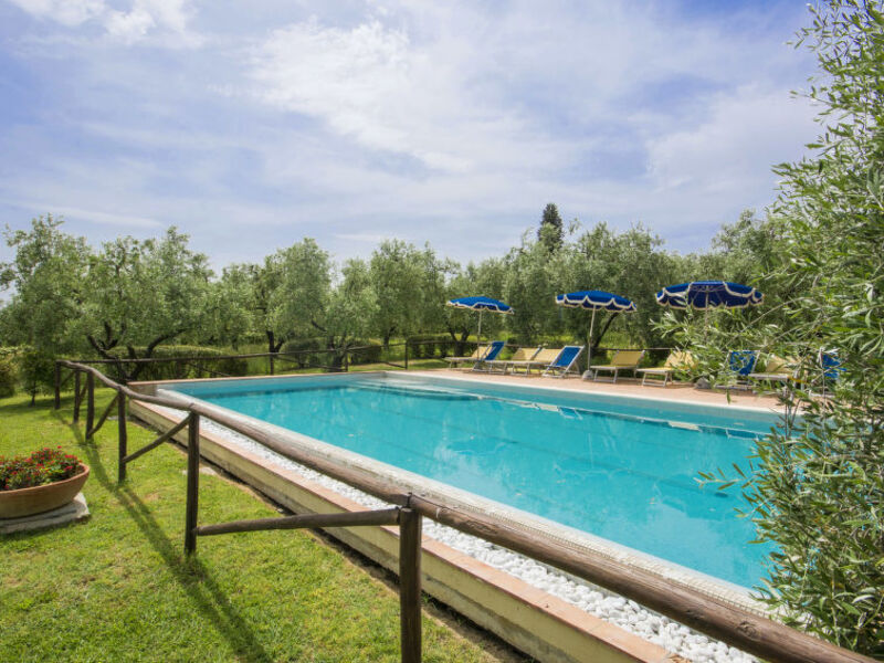 Oliveto