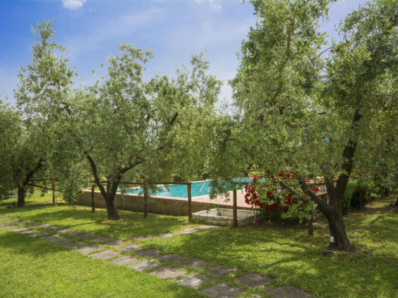 Oliveto