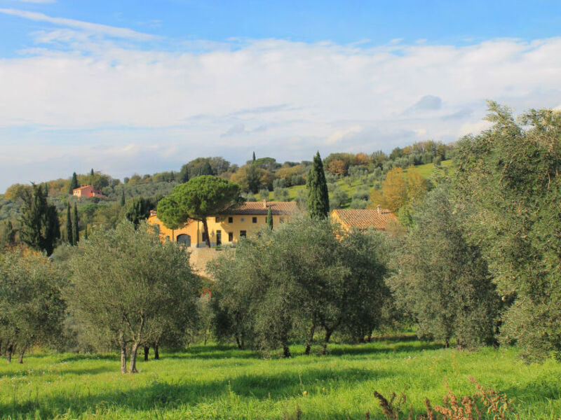 Montereggi
