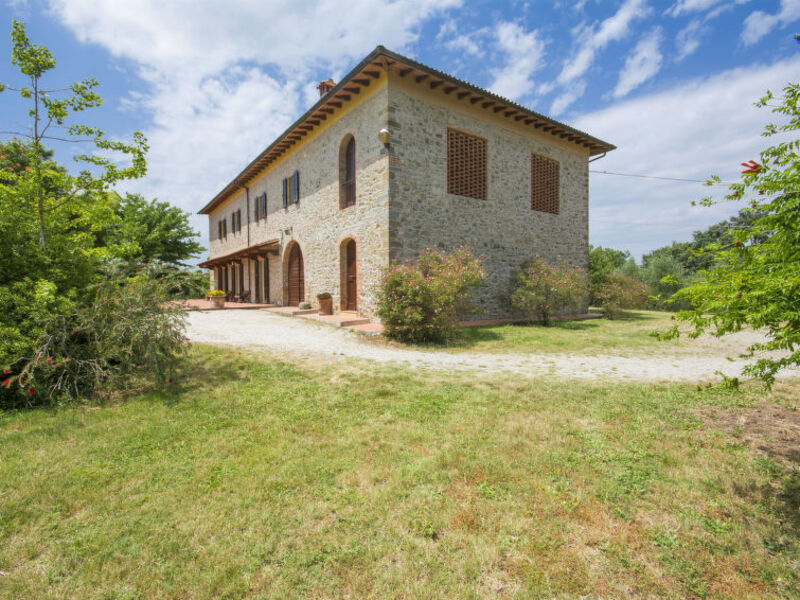 Il Leccio