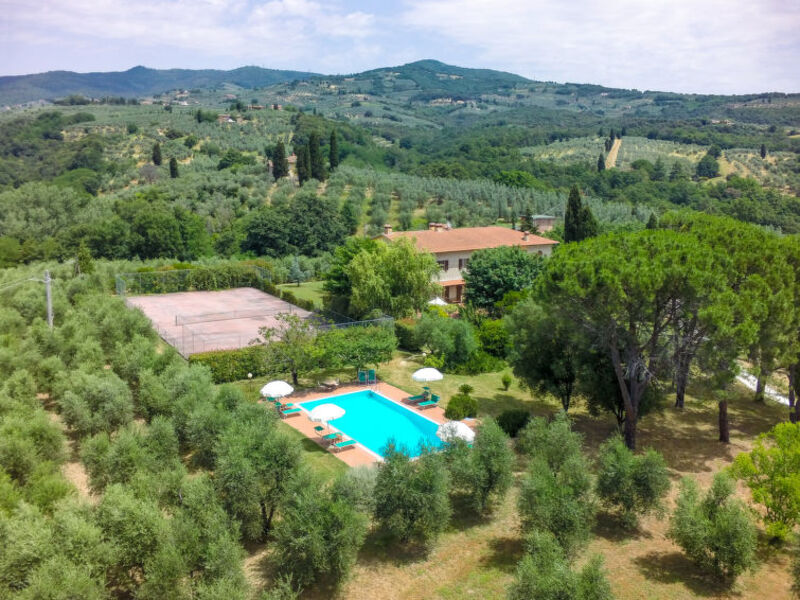 Il Leccio