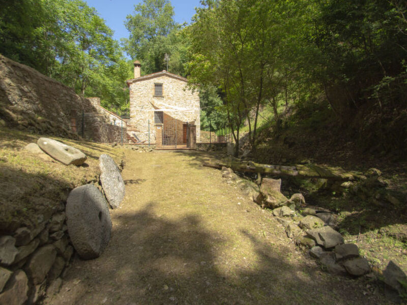 Il Mulino Di Leonardo