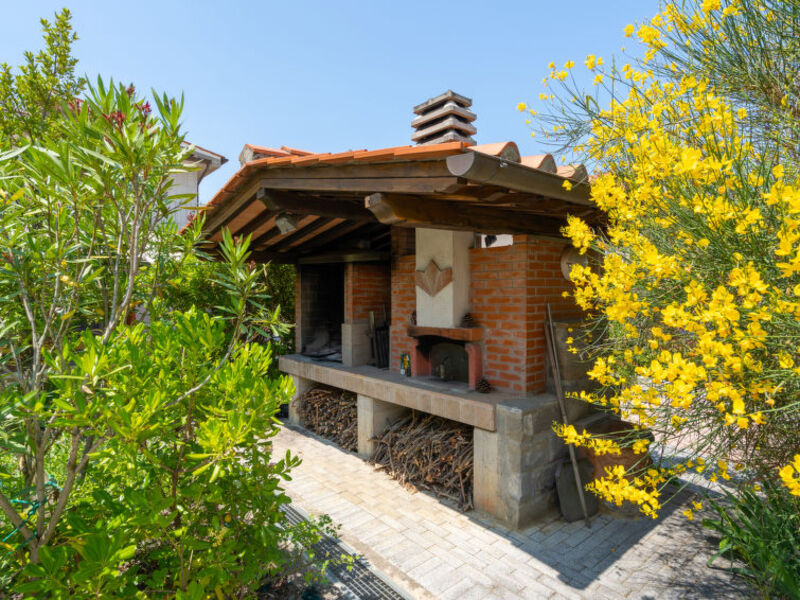 La Rosa