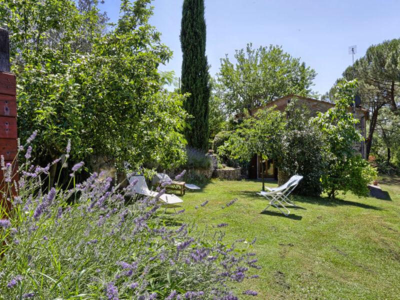 Il Lamone