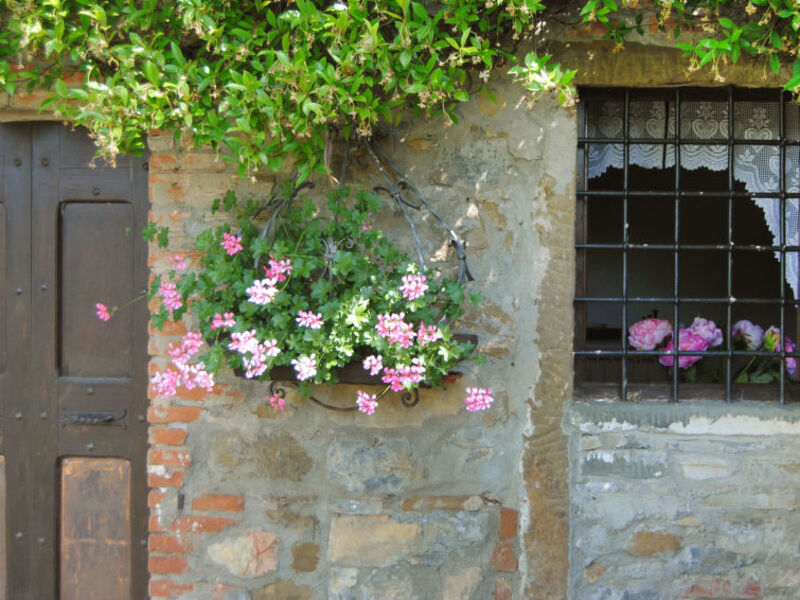 Il Lamone