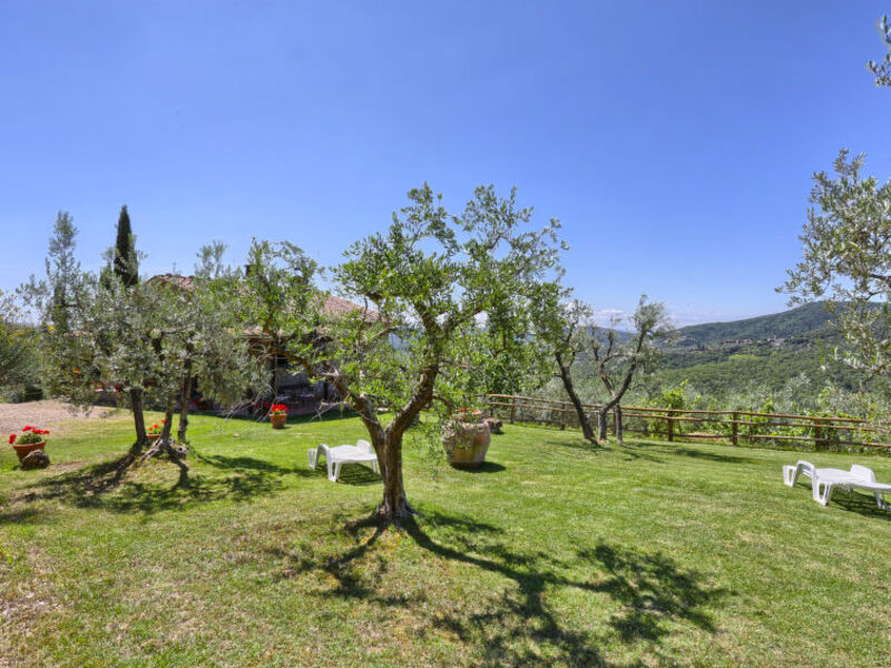 Podere Scopitino