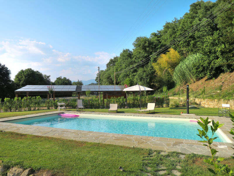 L'Orlo Del Bosco