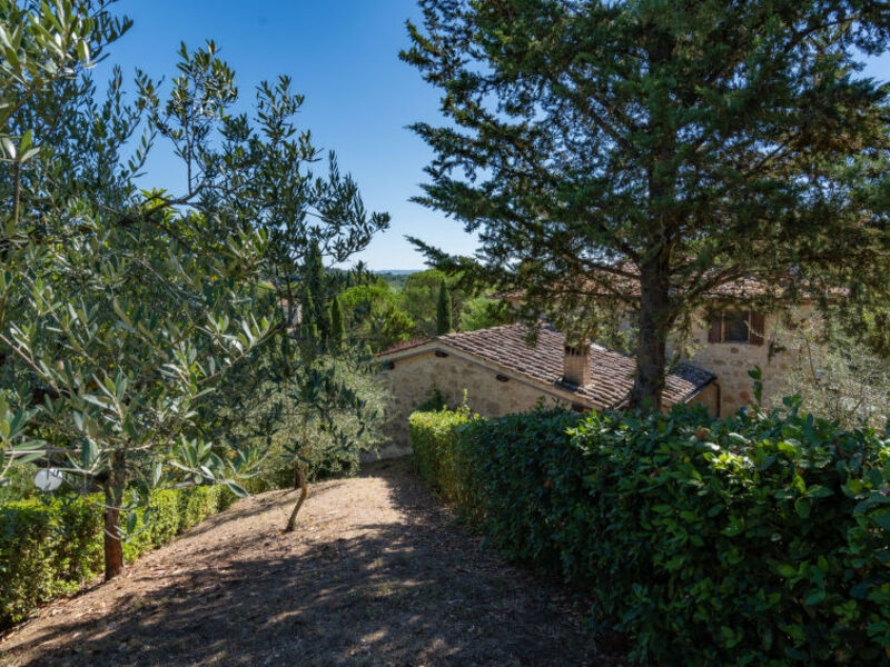 Il Sangiovese