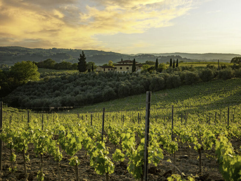 Podere San Michele