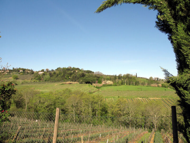 Casa Alle Vacche