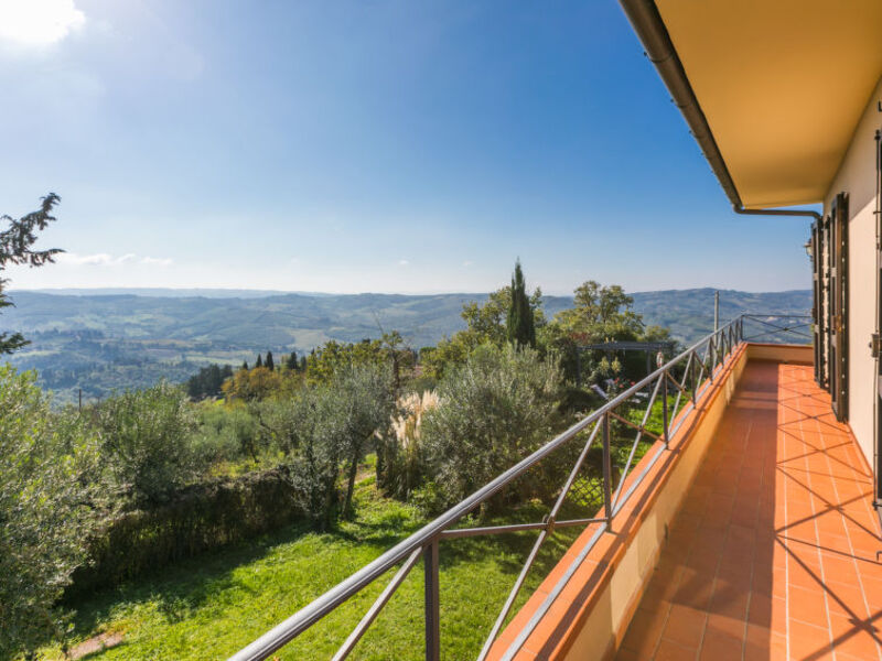 Belvedere