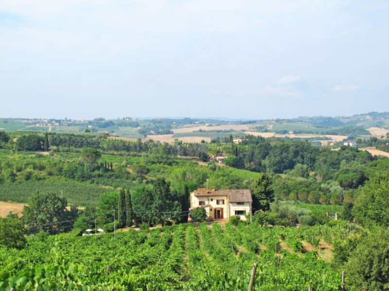 Villa Magna