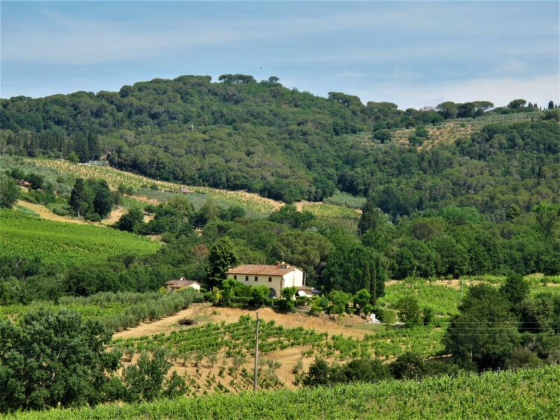 Villa Magna