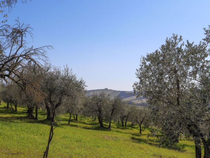 Podere San Raffaele