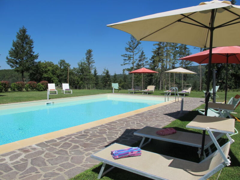 Azienda Agricola Montelucci