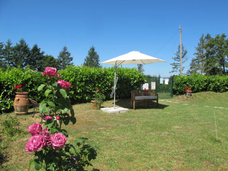 Azienda Agricola Montelucci