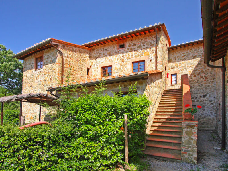 La Colomba N°4