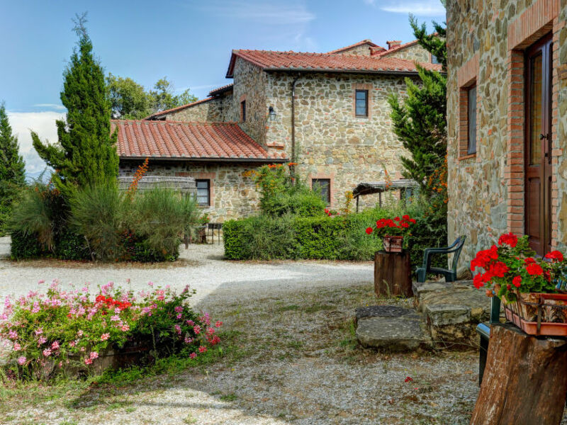 La Colomba N°4