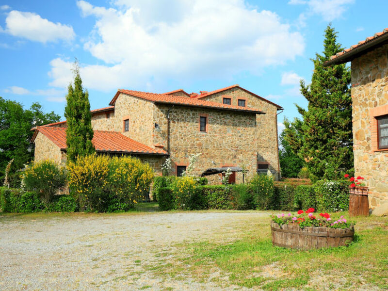 La Colomba N°4