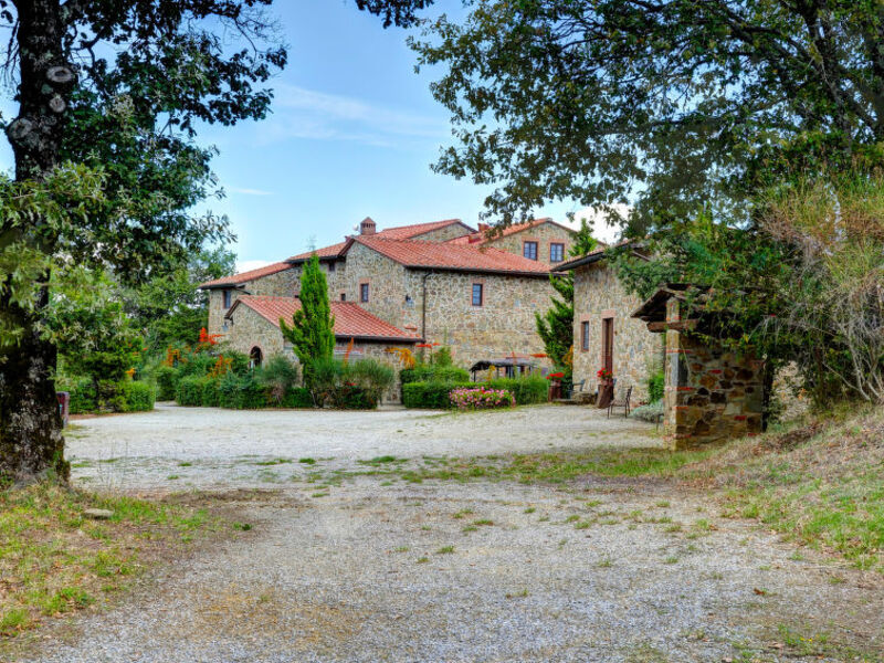 La Colomba N°4