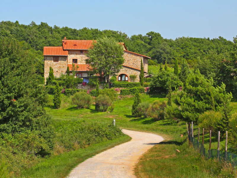 La Colomba N°4