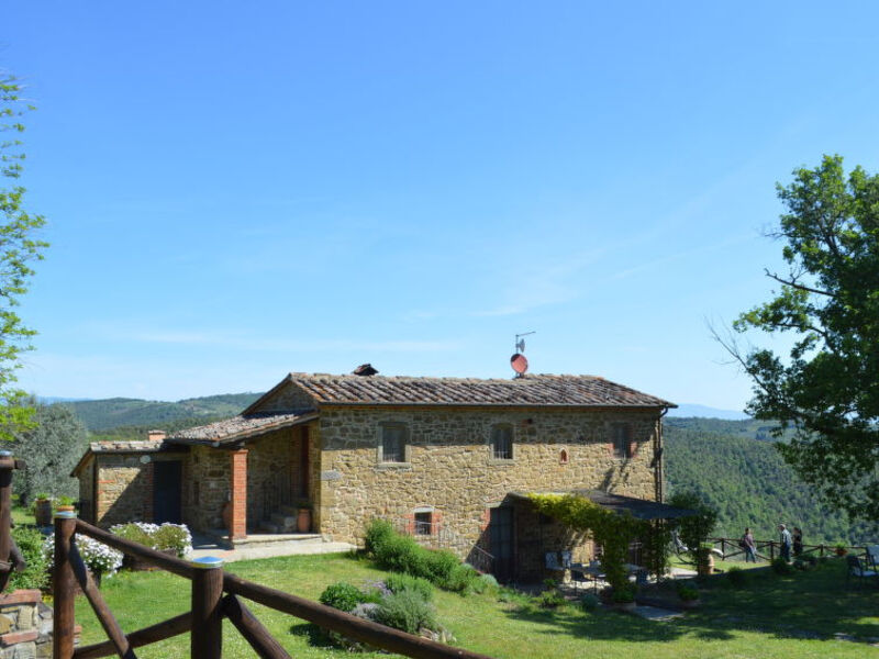 A Spasso Tra Gli Ulivi