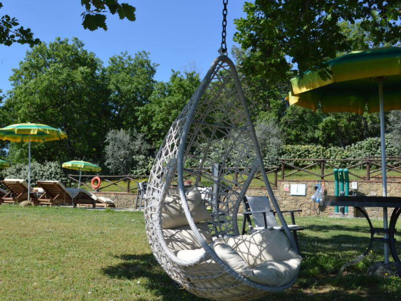 A Spasso Tra Gli Ulivi
