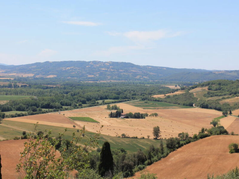 Borgo