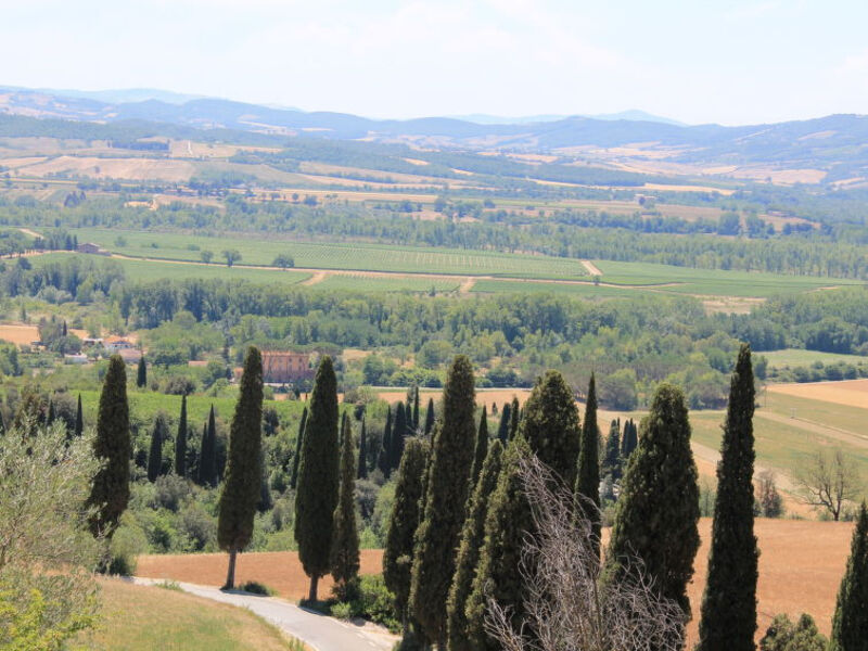 Borgo