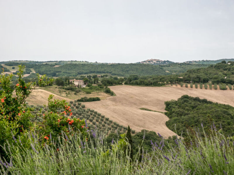 Bel Giardino