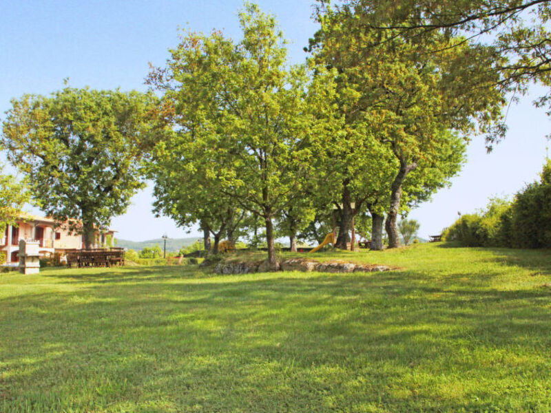 Oak