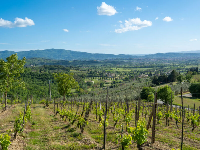 Podere Il Castello