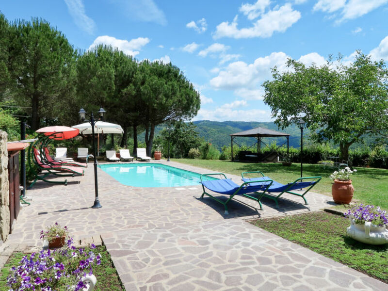 Podere Il Castello