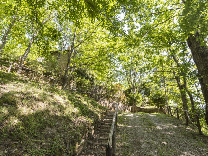 Cottage Contadina