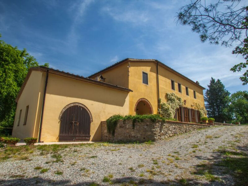 Maurizio