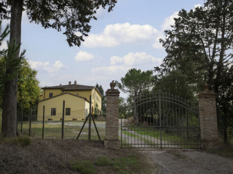 Maurizio