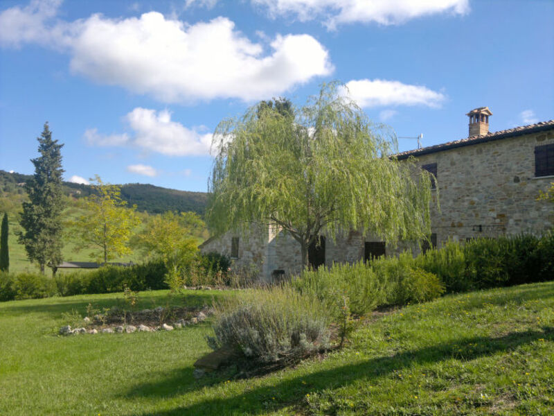 Il Salice