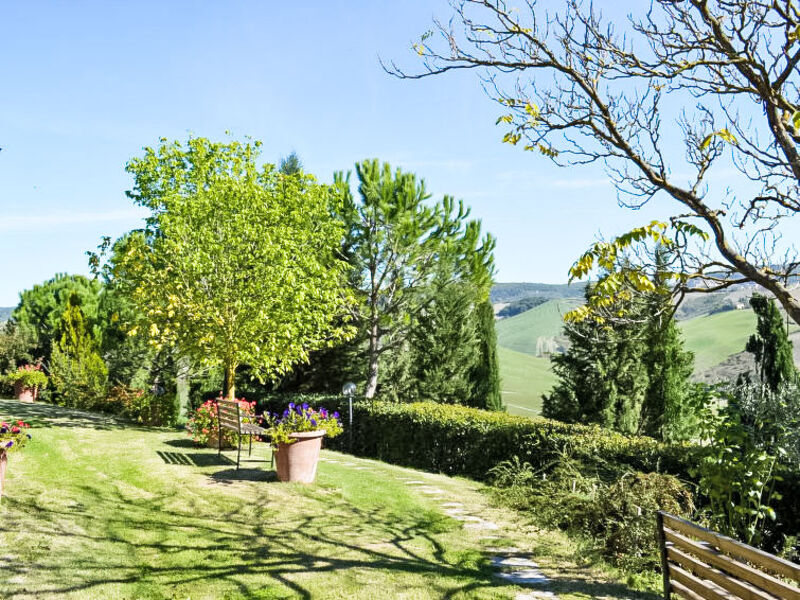 Crete Senesi View