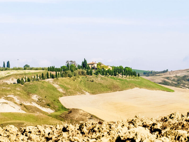 Crete Senesi View