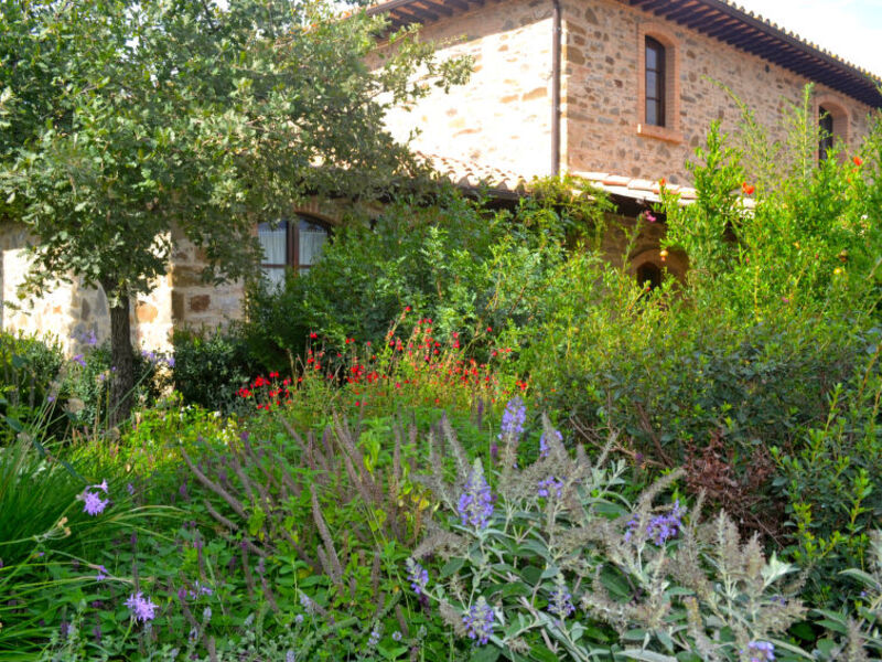 Montecucco Winery